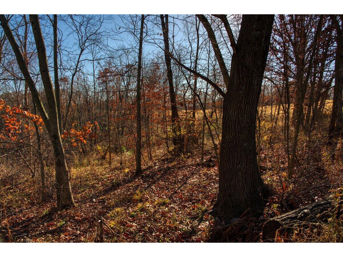 0 Turben Ridge Clayton WI 54655 1942897 image23