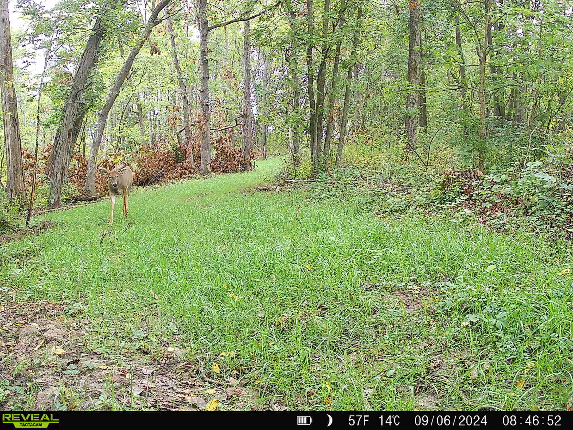 0 Turben Ridge Clayton WI 54655 1942897 image24