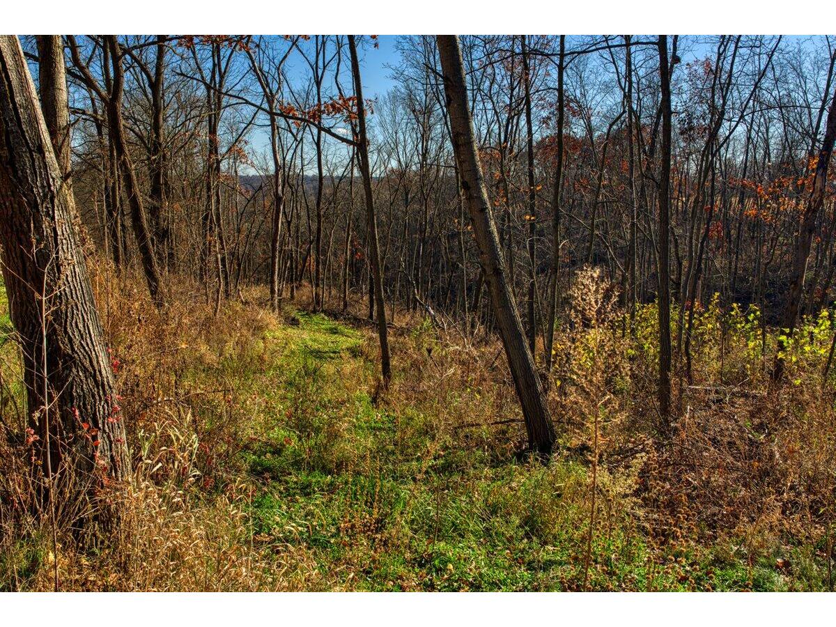 0 Turben Ridge Clayton WI 54655 1942897 image25