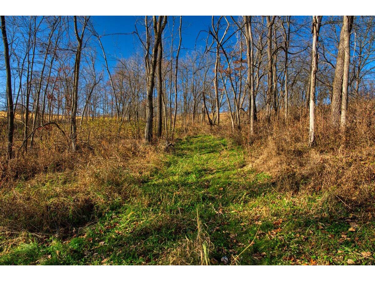 0 Turben Ridge Clayton WI 54655 1942897 image26