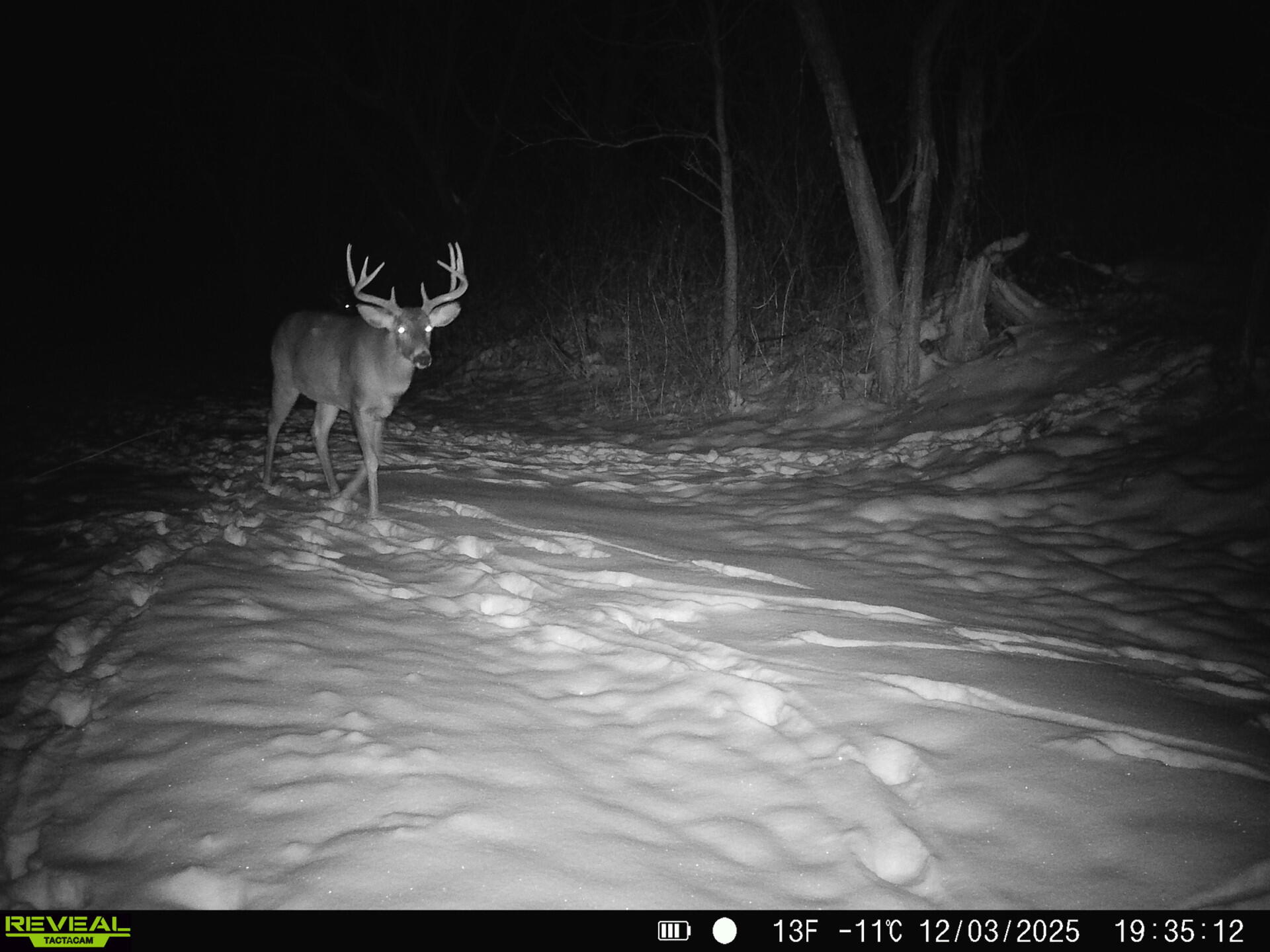 0 Turben Ridge Clayton WI 54655 1942897 image27