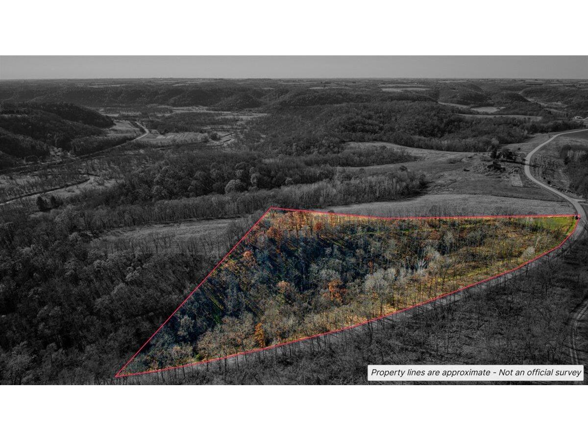 0 Turben Ridge Clayton WI 54655 1942897 image3