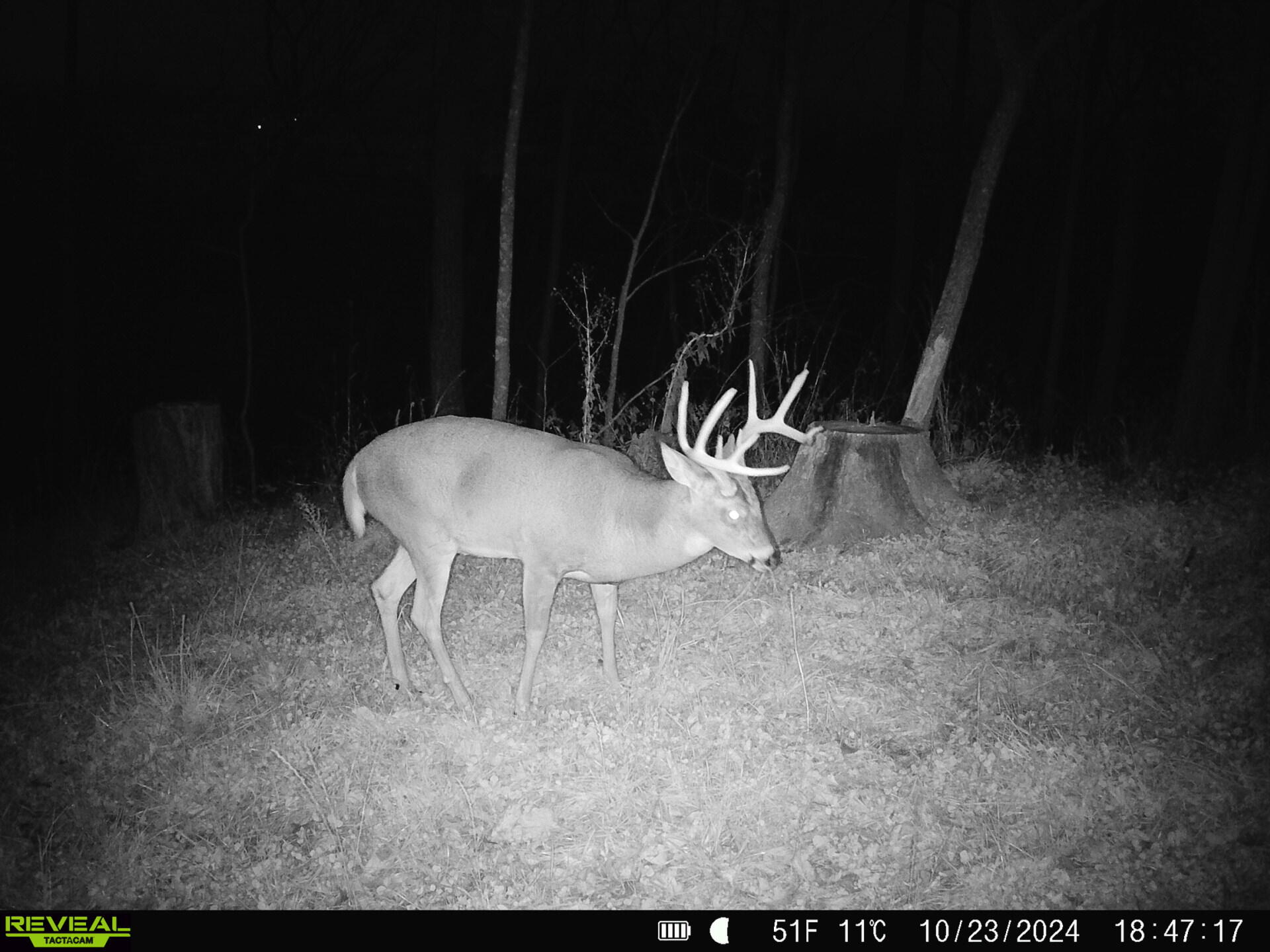 0 Turben Ridge Clayton WI 54655 1942897 image4