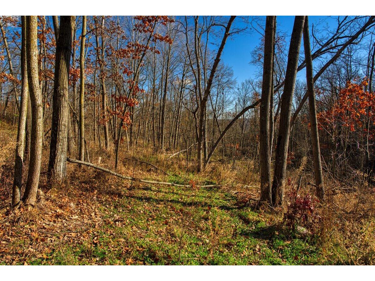 0 Turben Ridge Clayton WI 54655 1942897 image6