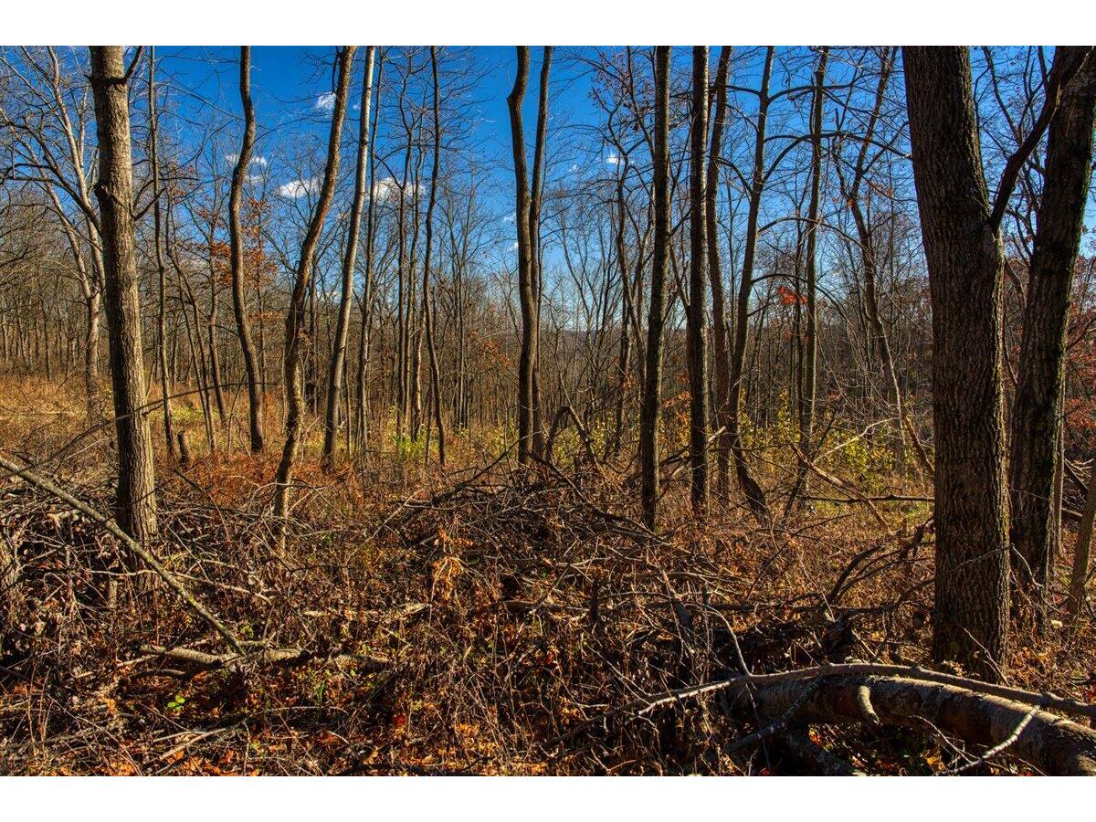 0 Turben Ridge Clayton WI 54655 1942897 image8