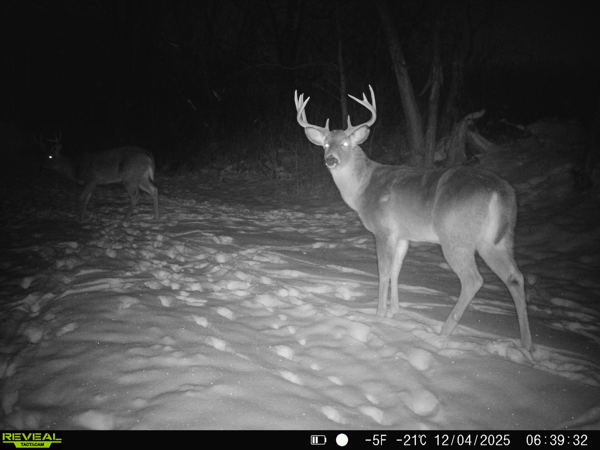 0 Turben Ridge Clayton WI 54655 1942897 image9