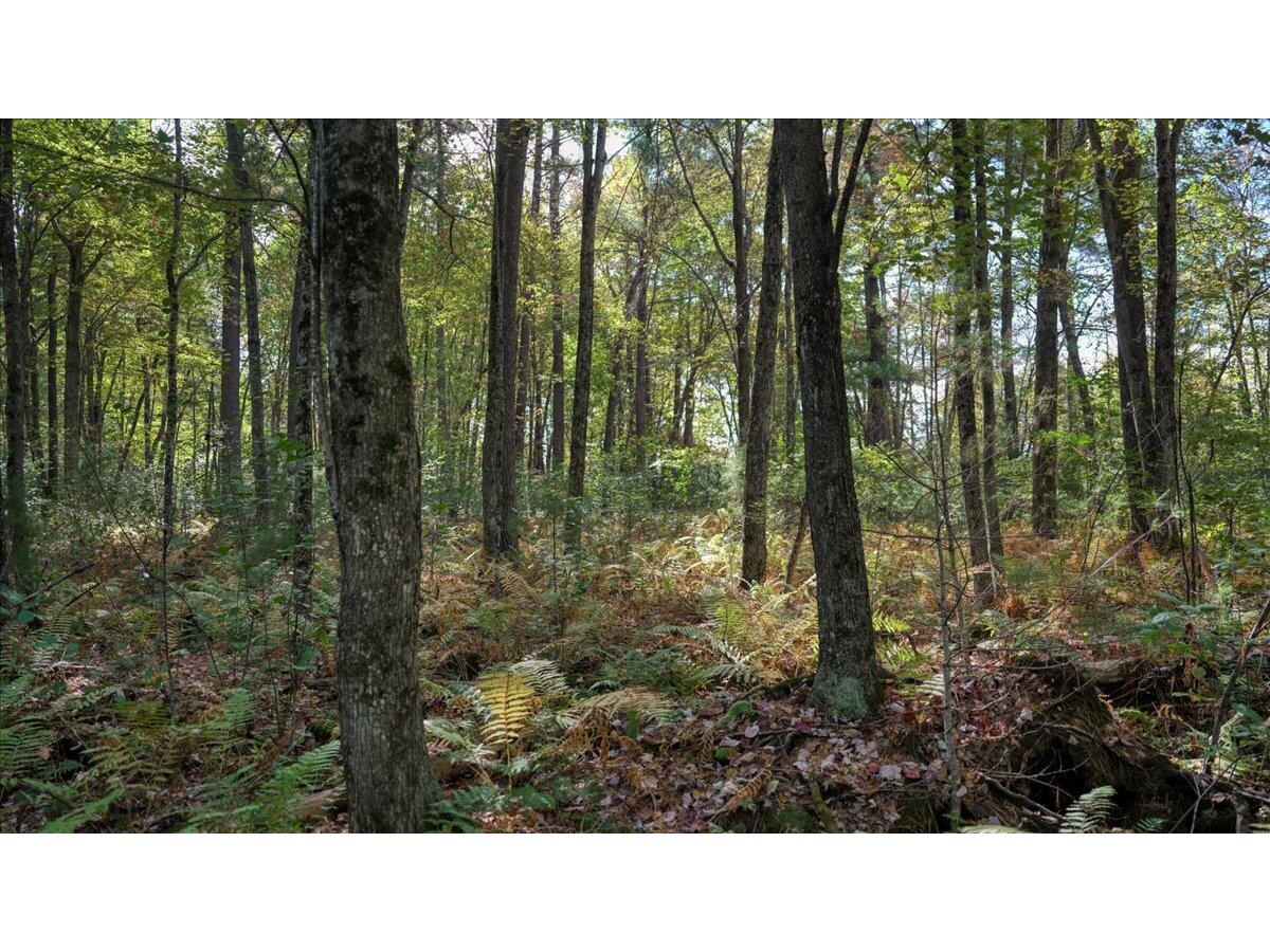 0 US Highway 12, La Grange, WI, 54660 MLS 1854045 Edina Realty