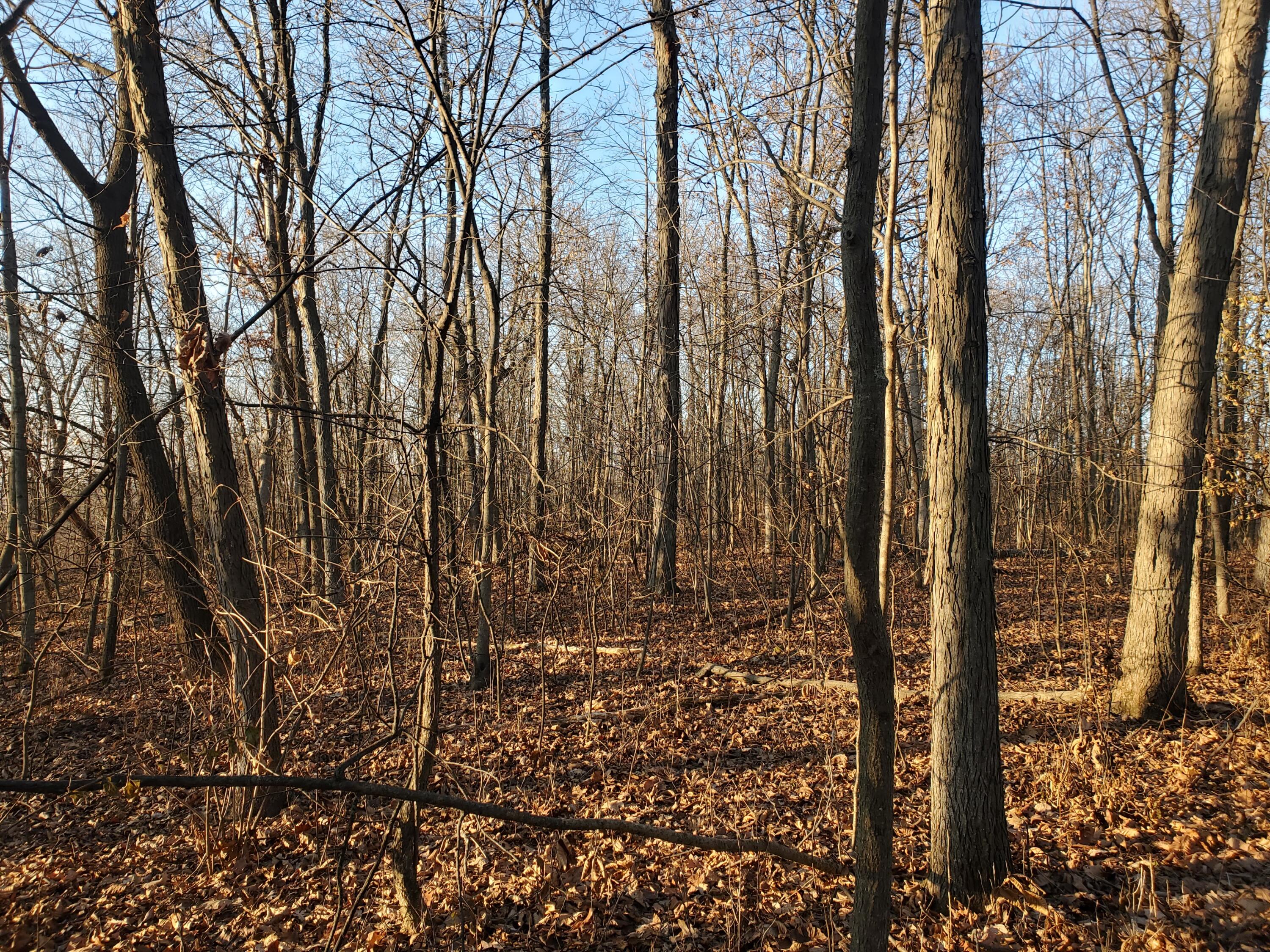 0 Whistle Pass Dodge WI 54625 1820753 image1