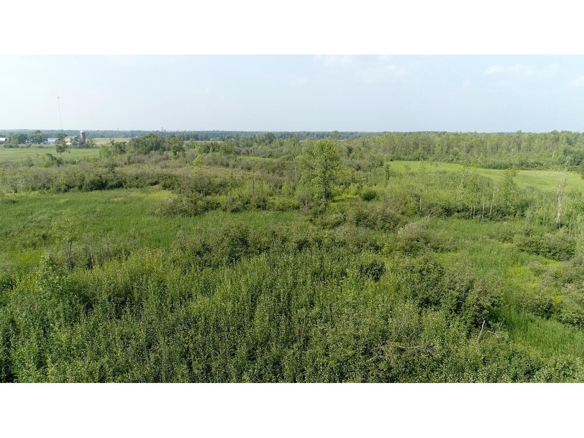 00 310th Ruby WI 54766 1949946 image6