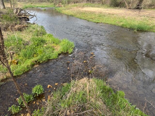 00 Bloomingdale #46.3 Ac. M Webster WI 54667 1959275 image2
