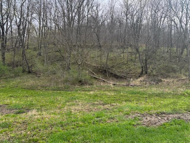 00 Bloomingdale #46.3 Ac. M Webster WI 54667 1959275 image3