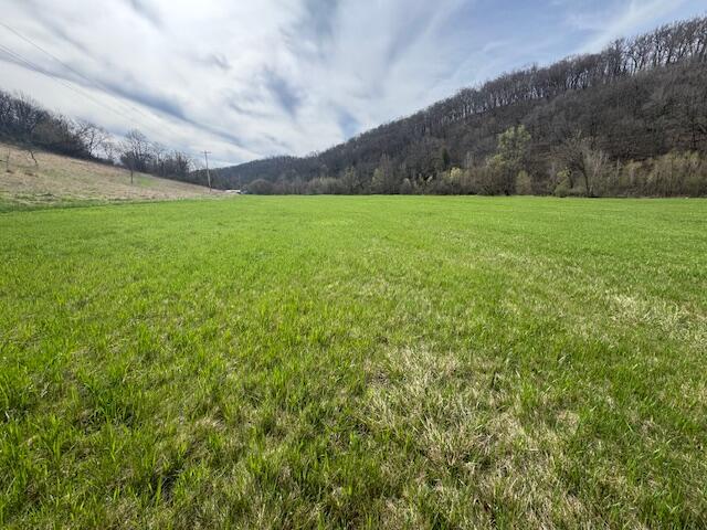 00 Bloomingdale #46.3 Ac. M Webster WI 54667 1959275 image4