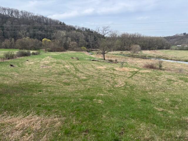 00 Bloomingdale #46.3 Ac. M Webster WI 54667 1959275 image6