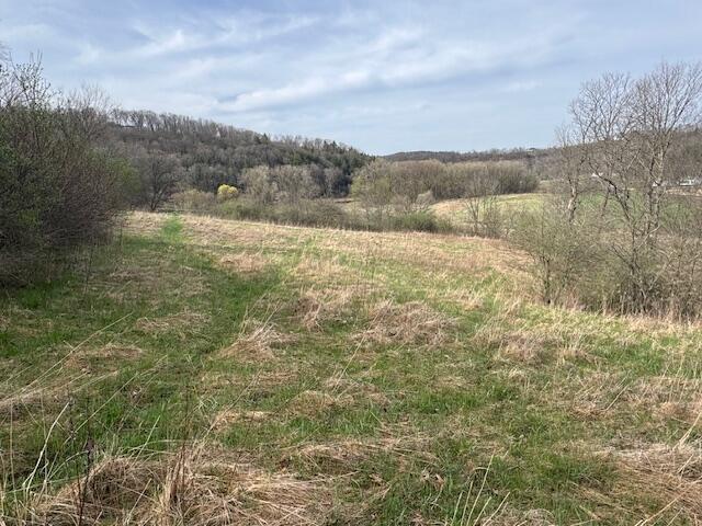 00 Bloomingdale #46.3 Ac. M Webster WI 54667 1959275 image7