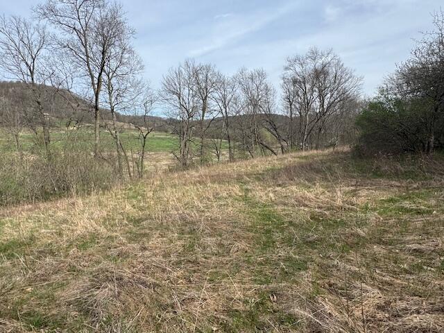 00 Bloomingdale #46.3 Ac. M Webster WI 54667 1959275 image8