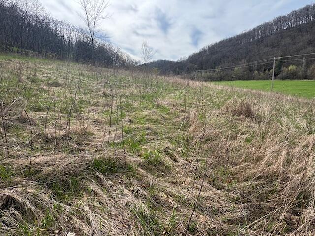 00 Bloomingdale #46.3 Ac. M Webster WI 54667 1959275 image9
