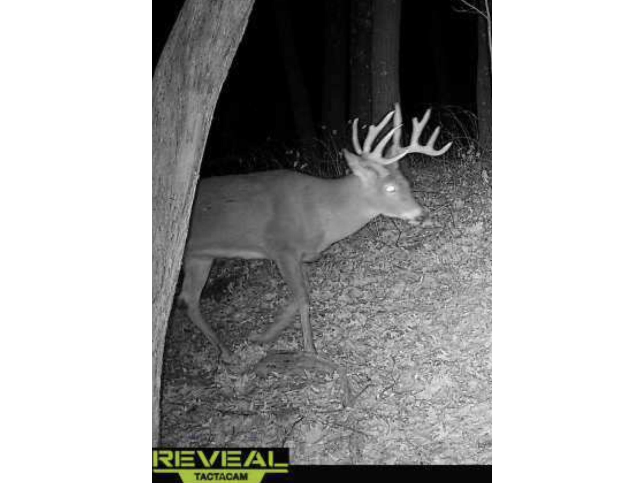 00 County Hwy I Lafayette WI 54656 1824000 image1