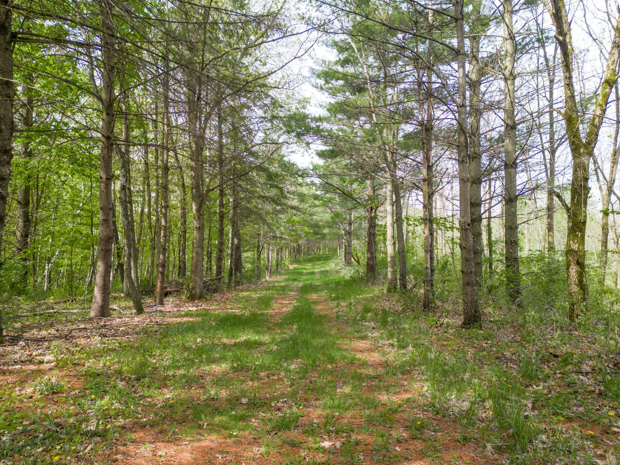 00 County Hwy N Richland Center WI 53581 1856723 image1