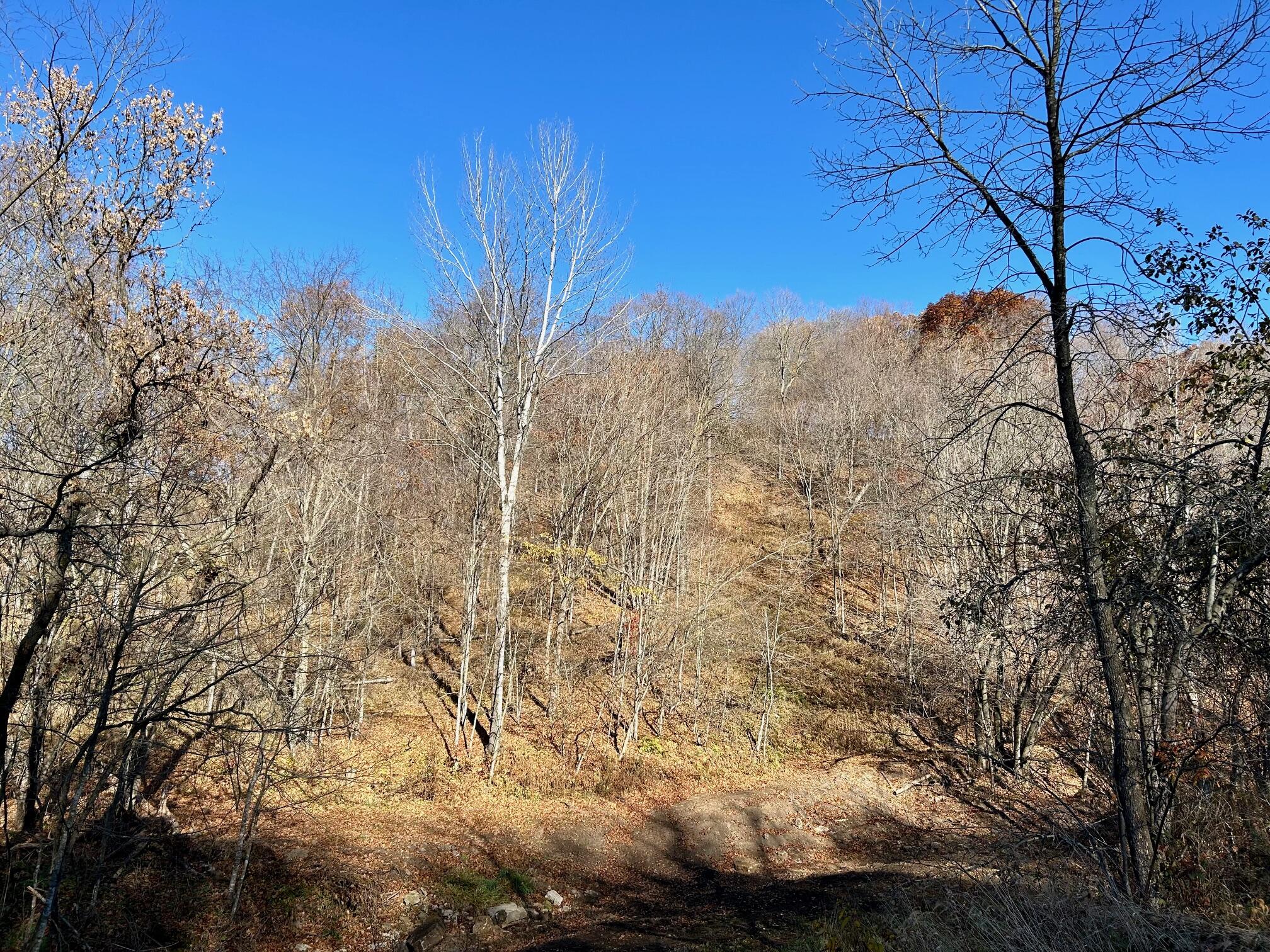 00 County Rd P Wellington WI 54651 1901793 image1