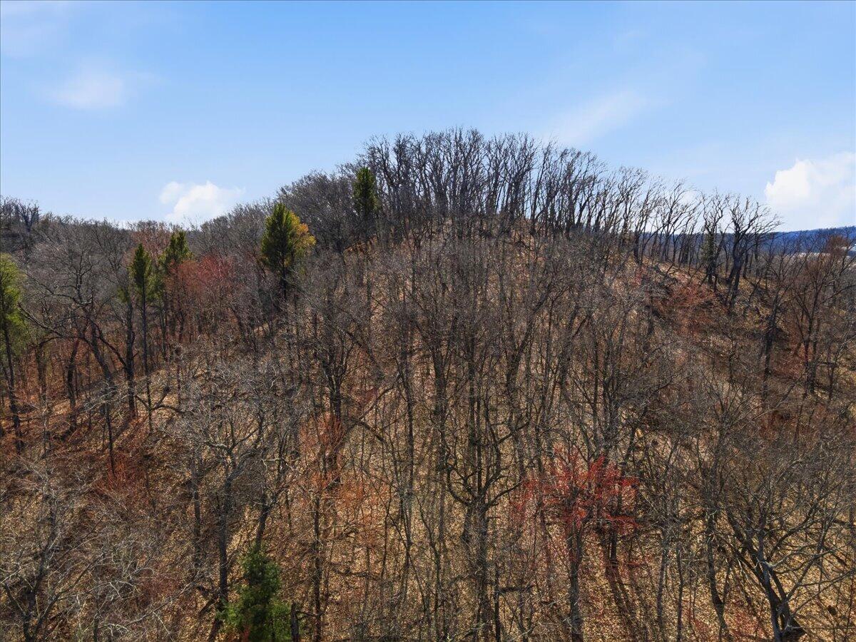 00 County Hwy A Farmington WI 54644 1958107 image14