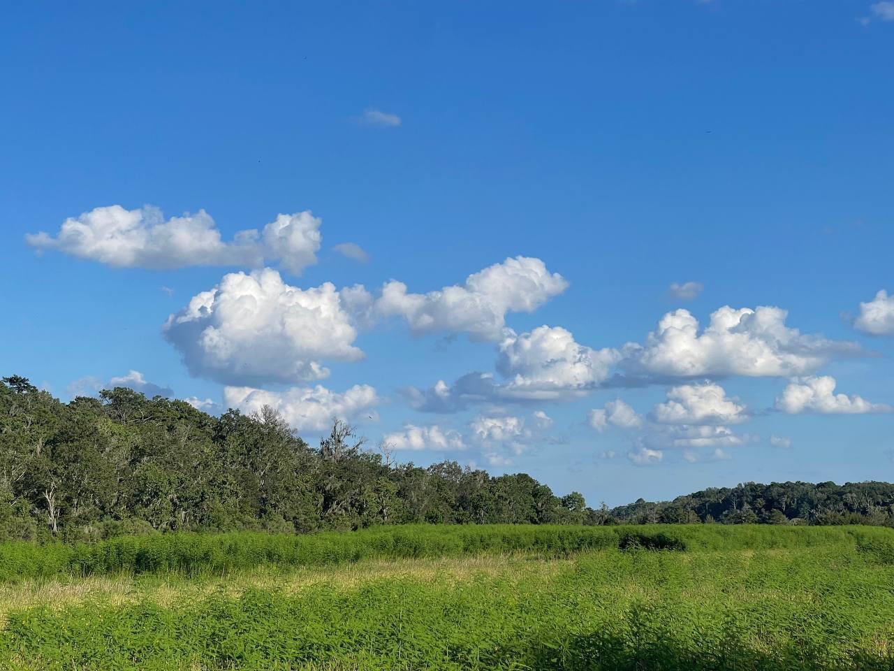 00 Highway 16 Tomah WI 54660 1893242 image25