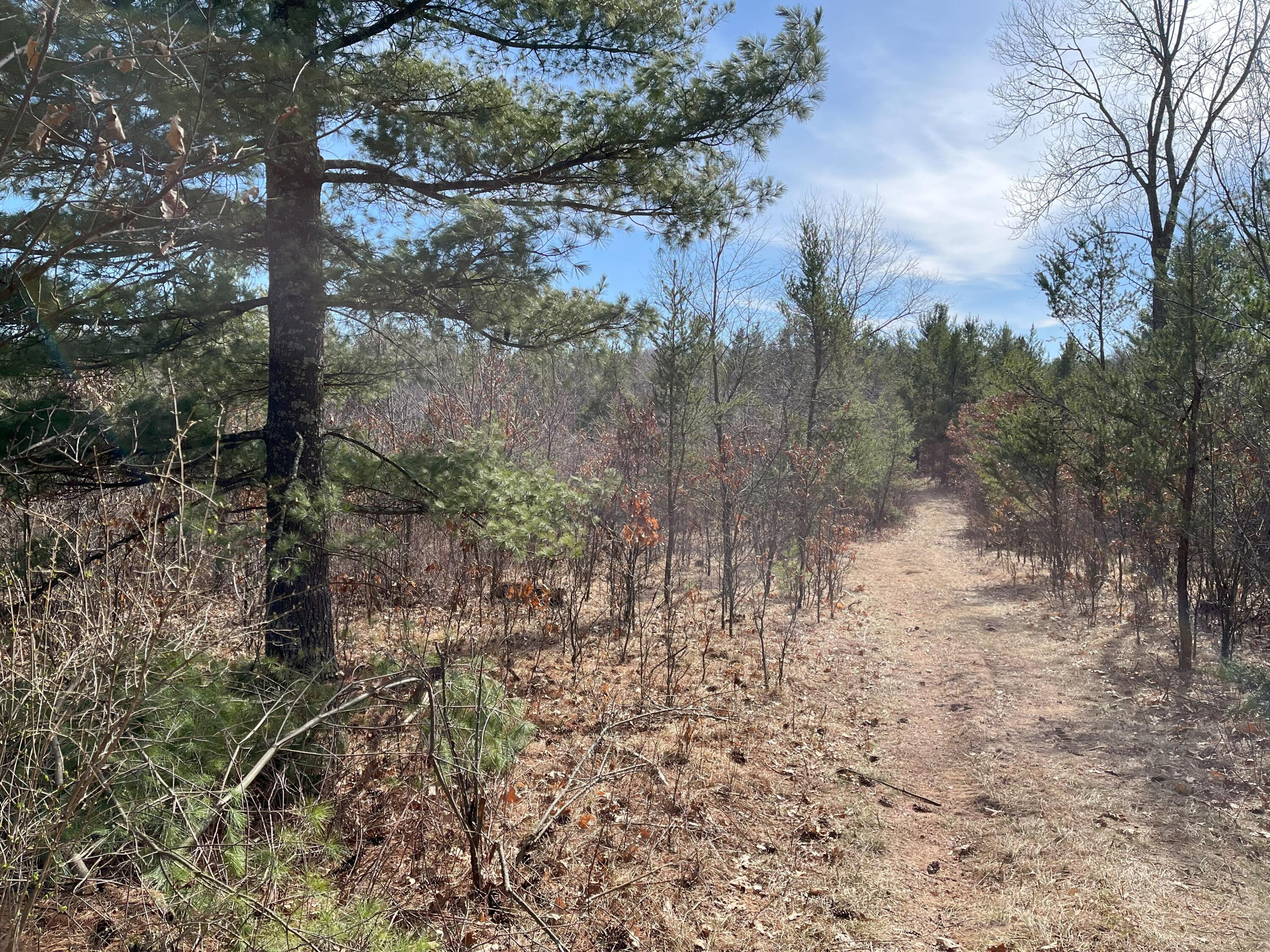 0 State Highway 71 Little Falls WI 54656 1868428 image1