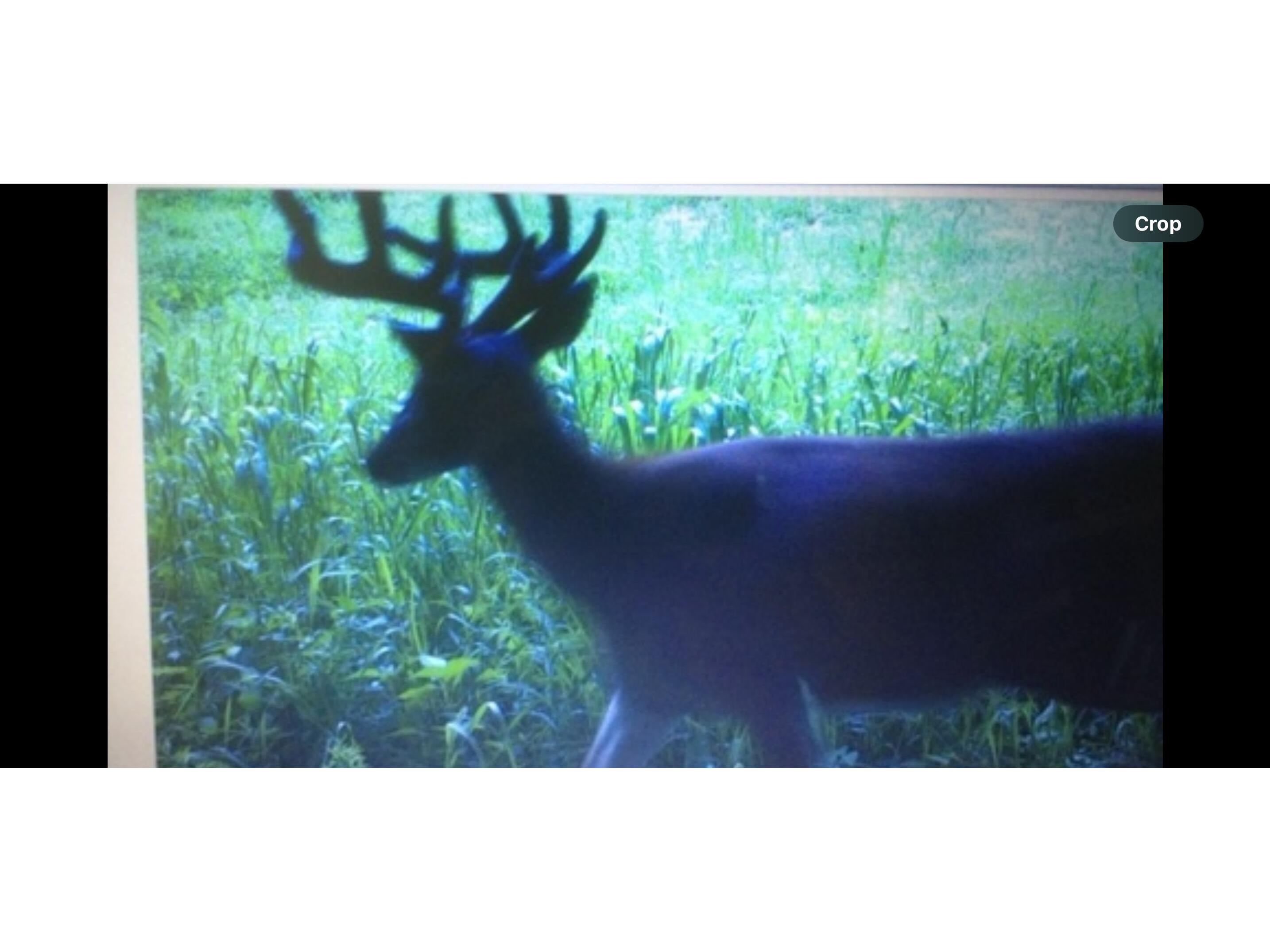 00 Iceman #Lot 3 Sparta WI 54656 1942975 image13