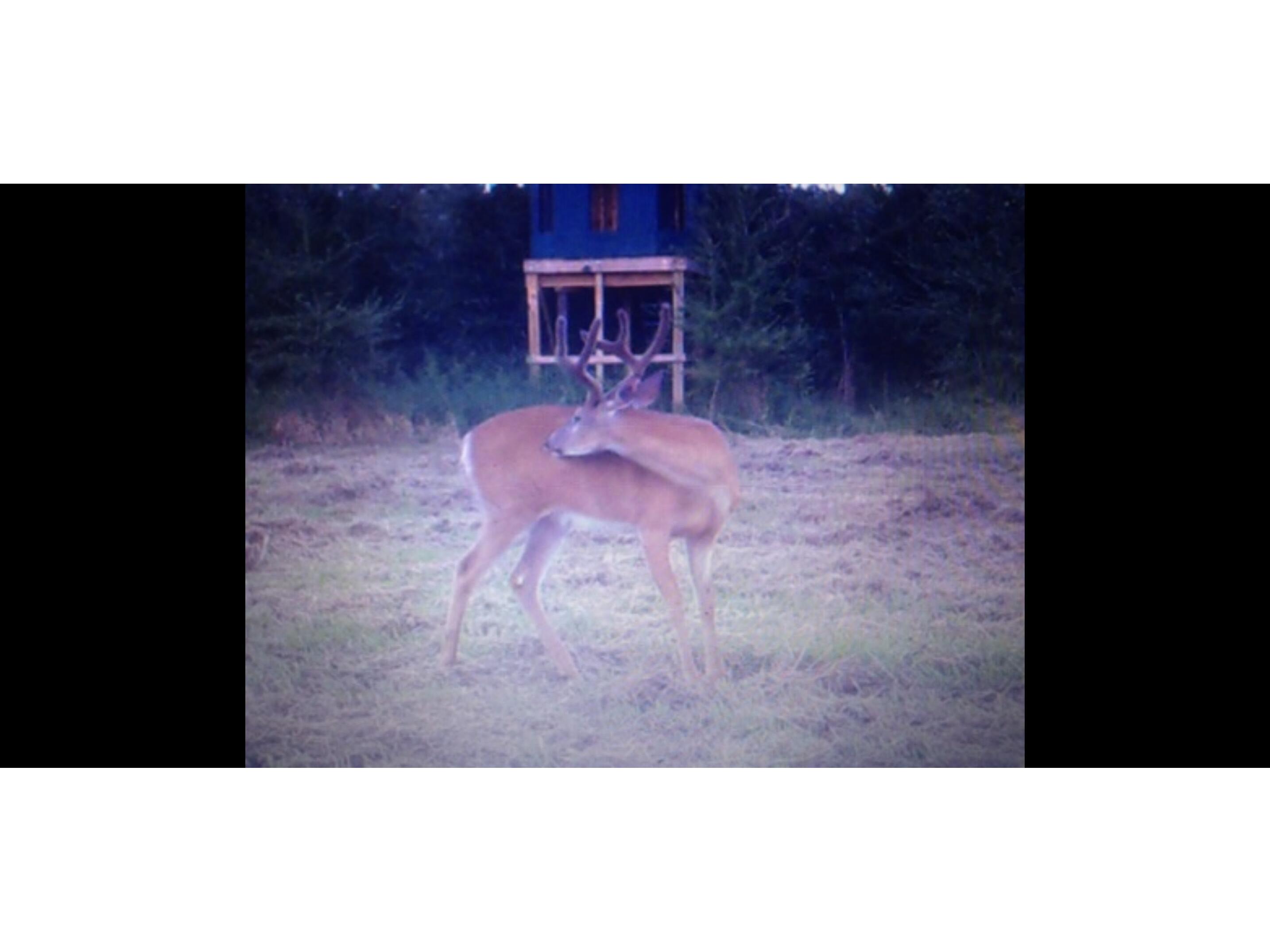 00 Iceman #Lot 3 Sparta WI 54656 1942975 image15