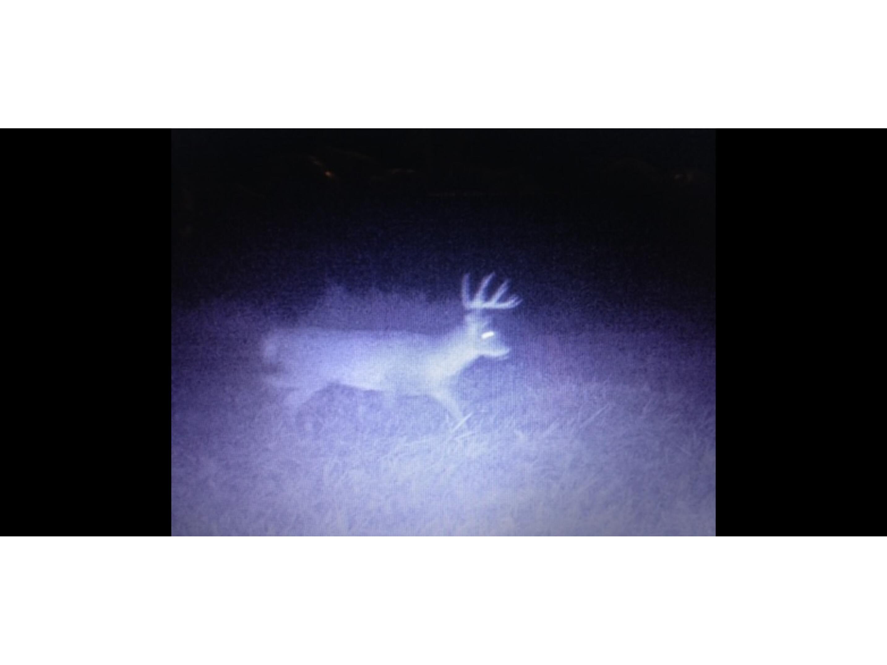 00 Iceman #Lot 3 Sparta WI 54656 1963878 image14