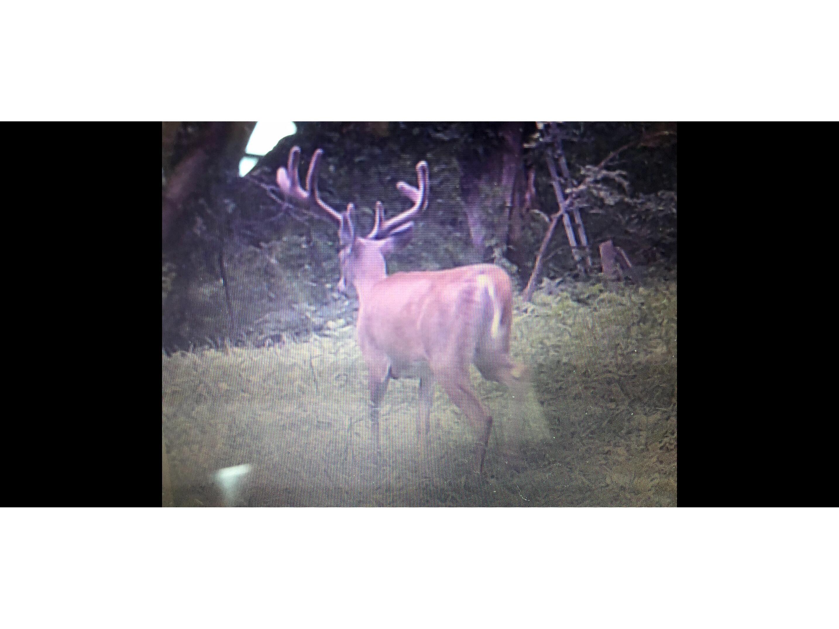 00 Iceman #Lot 3 Sparta WI 54656 1963878 image16