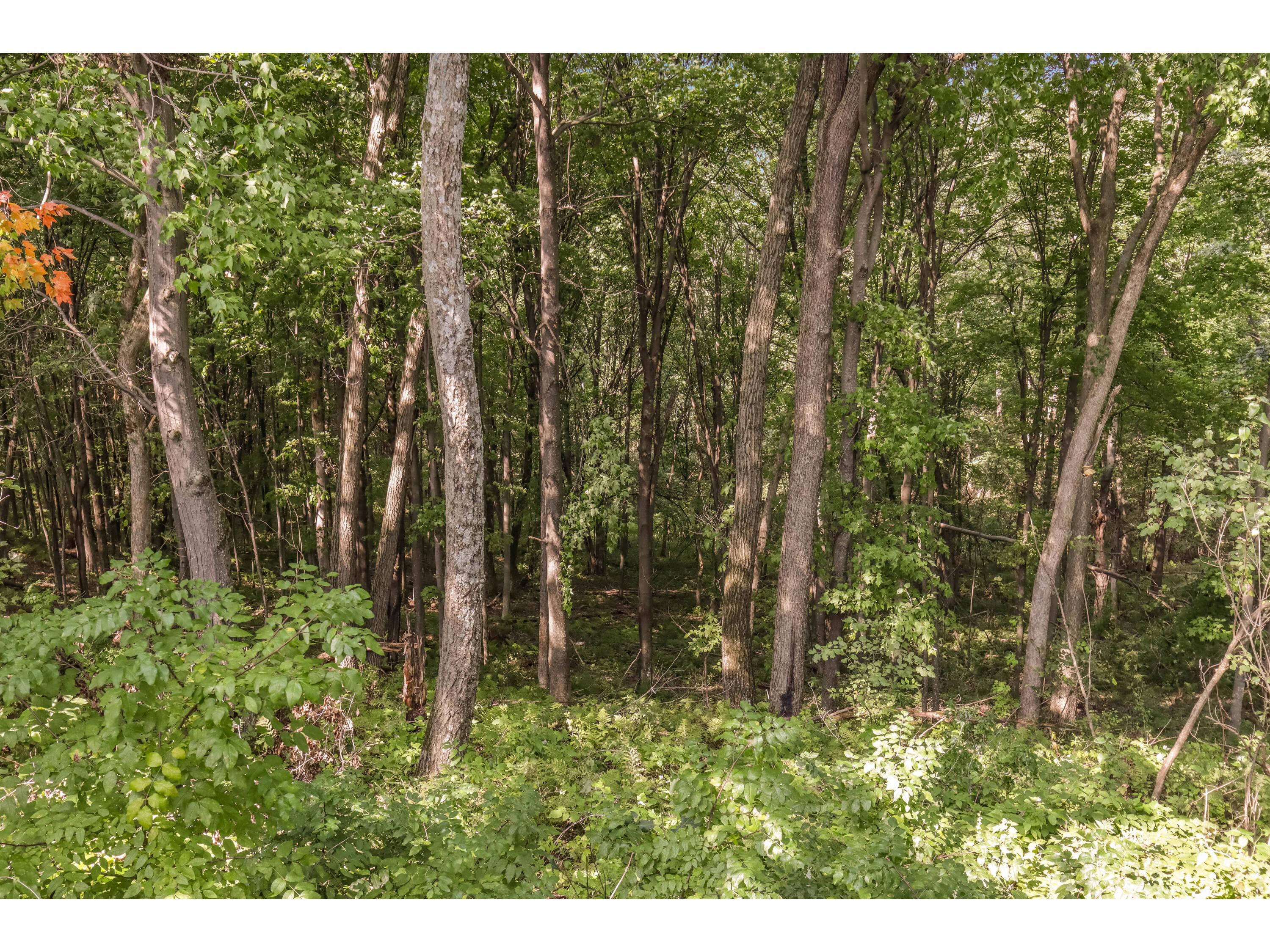 00 Joe Coulee Ettrick WI 54616 1936290 image15