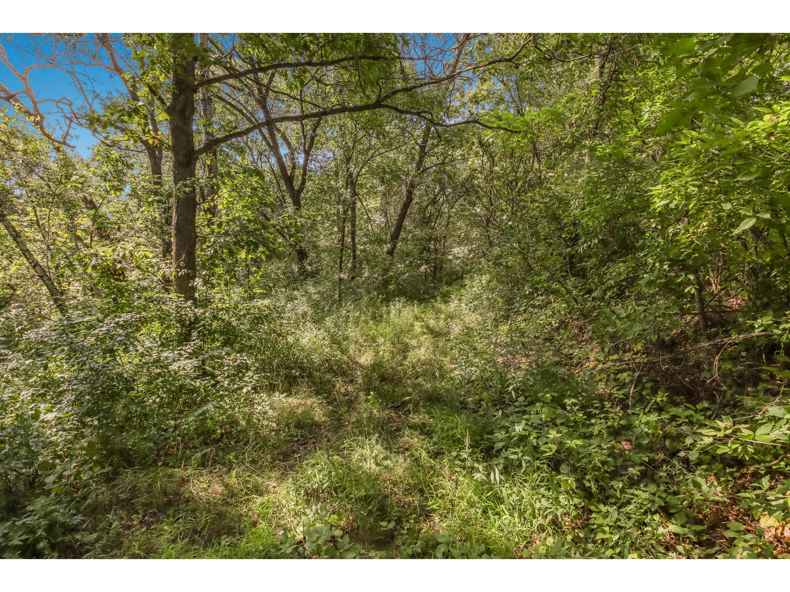 00 Joe Coulee Ettrick WI 54616 1936290 image18