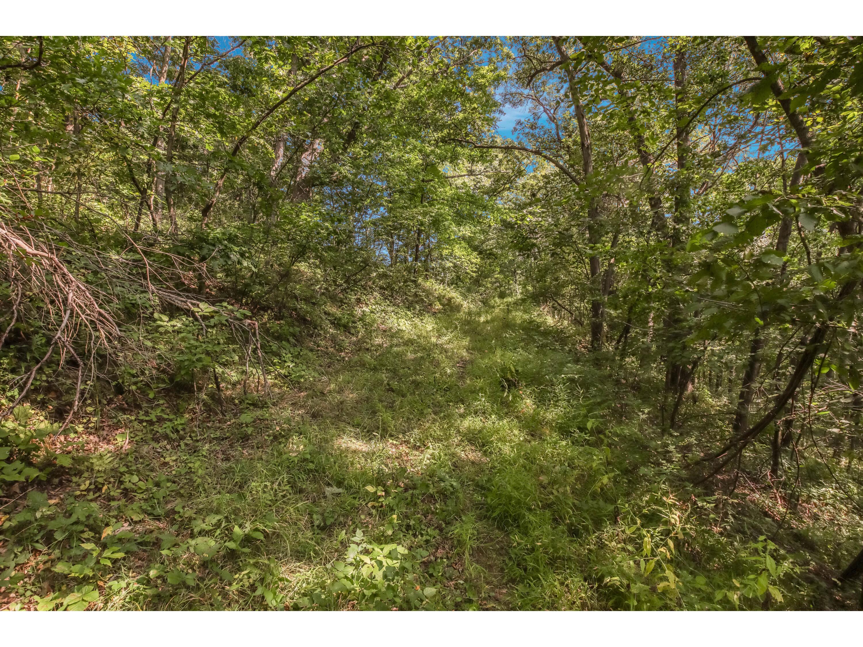 00 Joe Coulee Ettrick WI 54616 1936290 image20