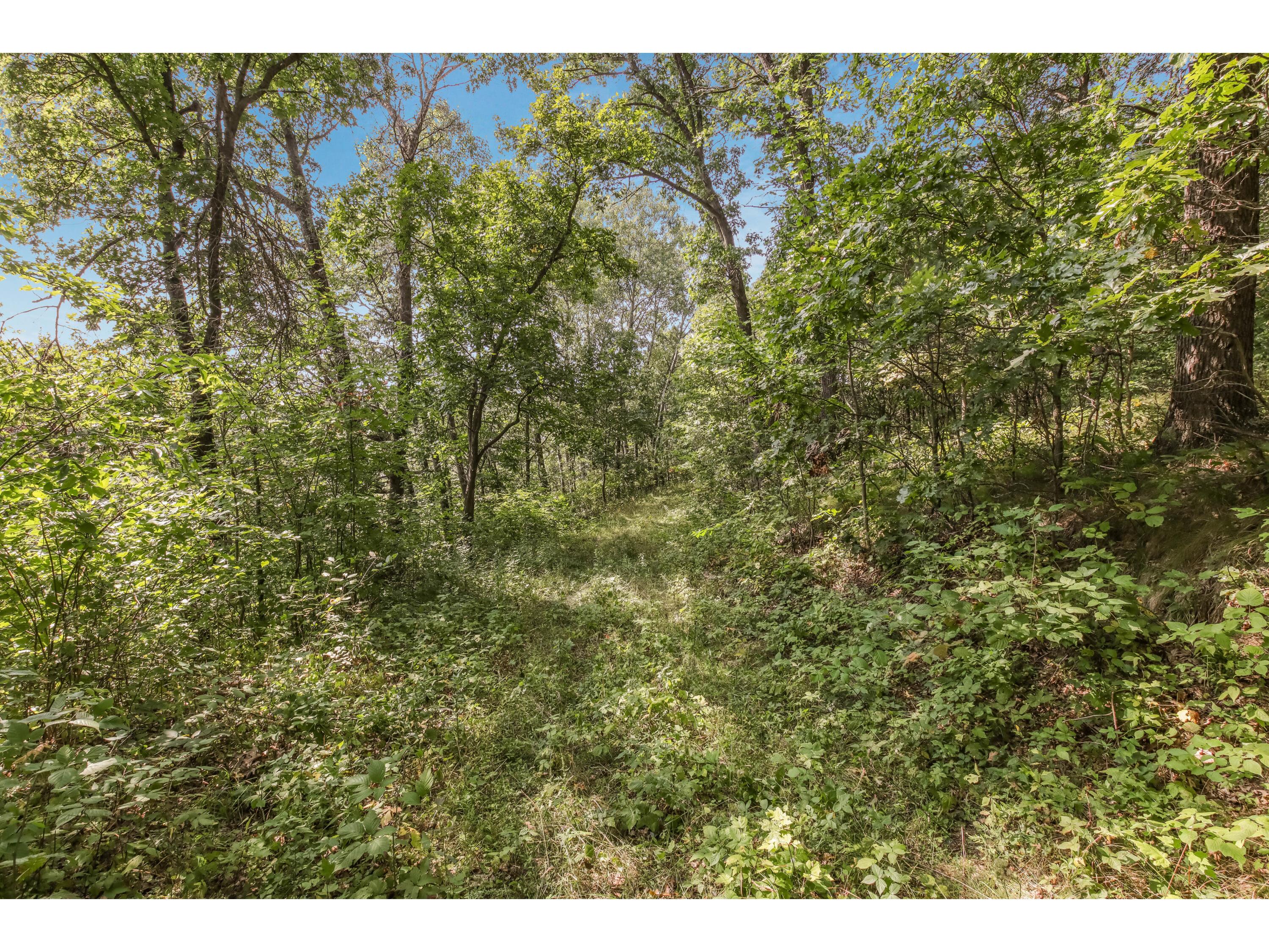 00 Joe Coulee Ettrick WI 54616 1936290 image24