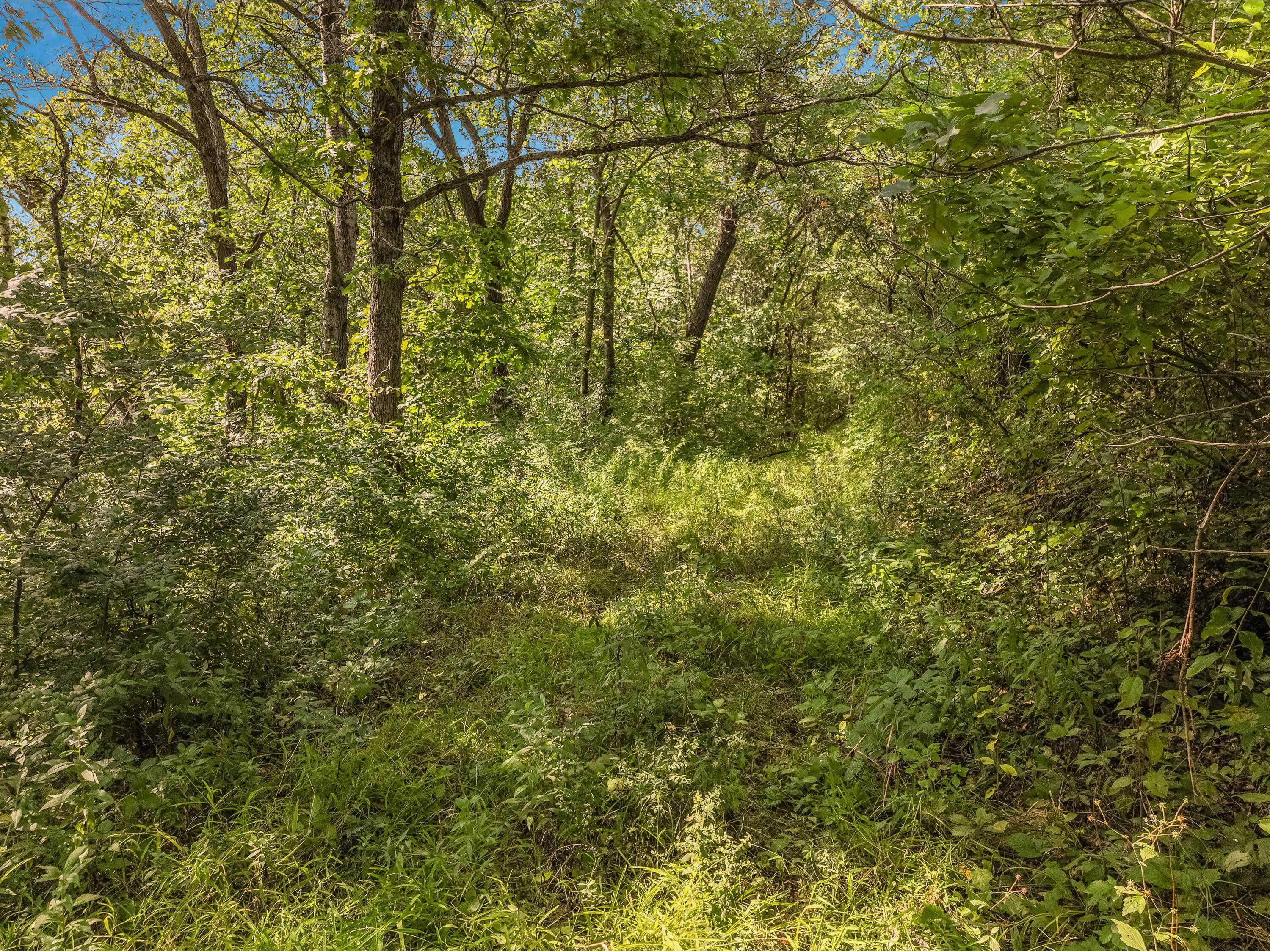 00 Joe Coulee Ettrick WI 54616 1936290 image37