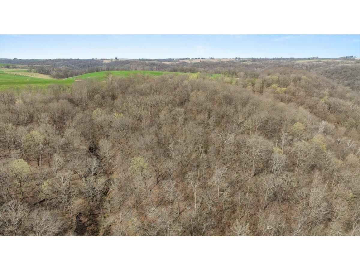 00 Johnstown Utica WI 54655 1959463 image10