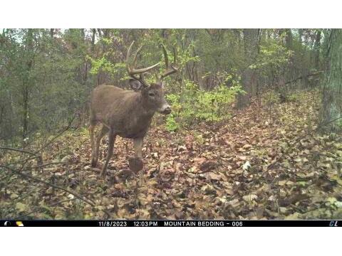 00 Knutson Bangor WI 54614 1891991 image1