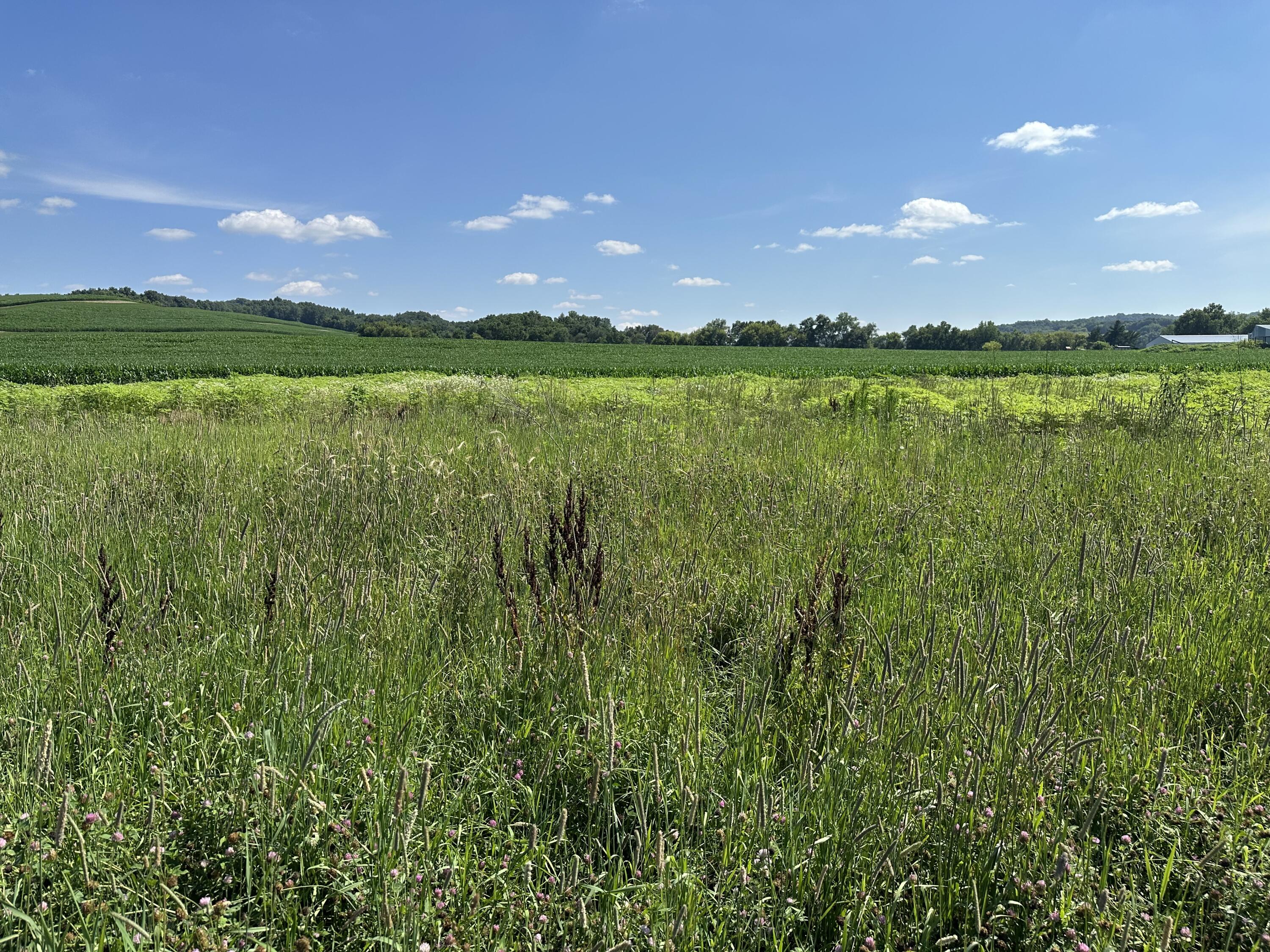 00 Lot 6 Twin Creeks Barre WI 54601 1970365 image1