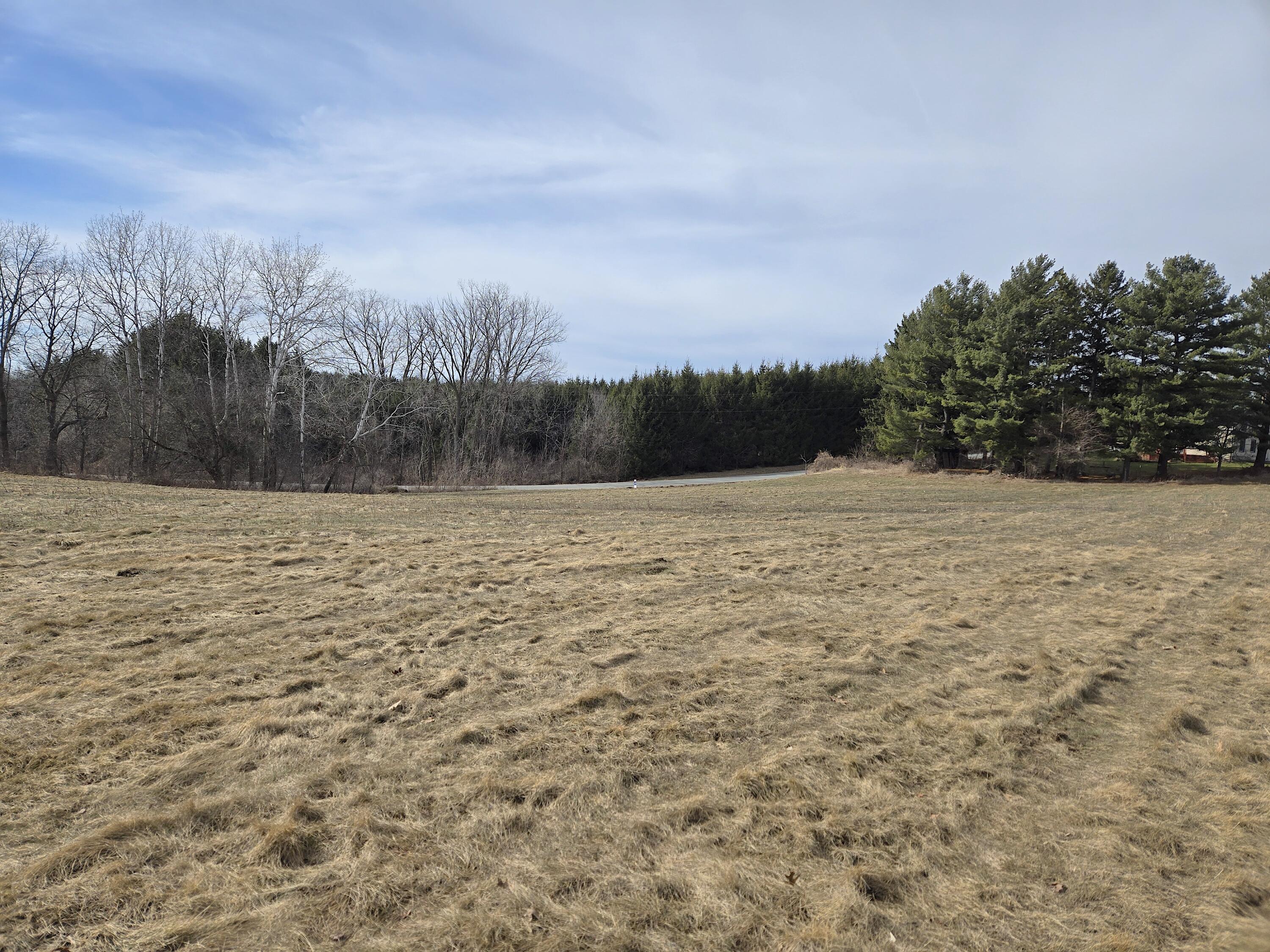 00 Nessett Coon WI 54667 1946480 image1