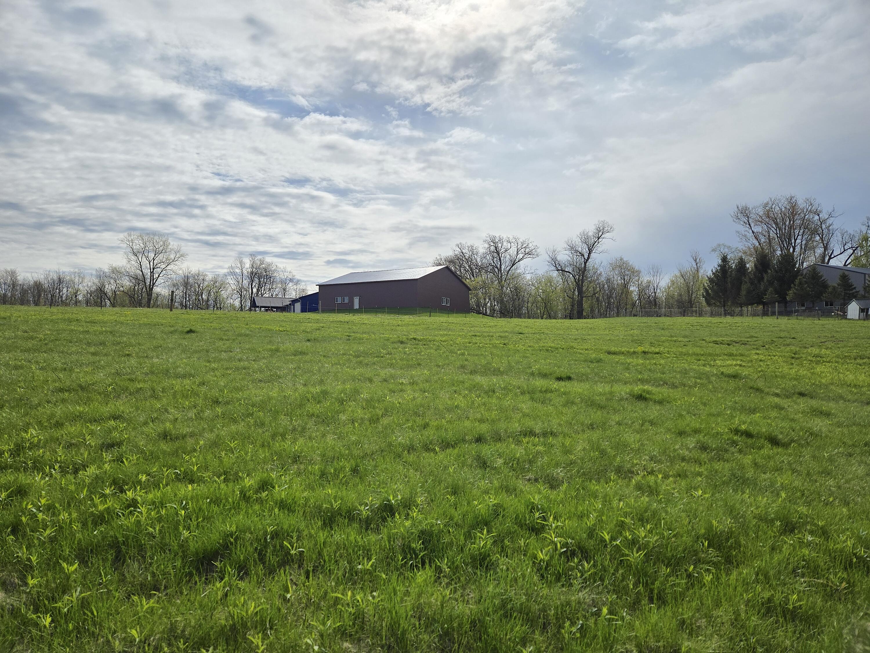 00 Nessett Coon WI 54667 1946480 image4