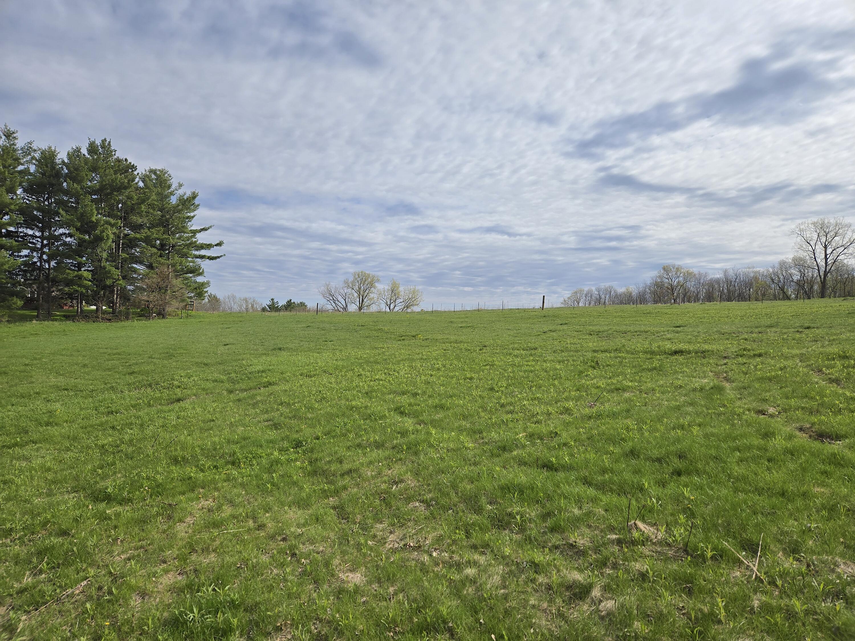 00 Nessett Coon WI 54667 1962715 image1