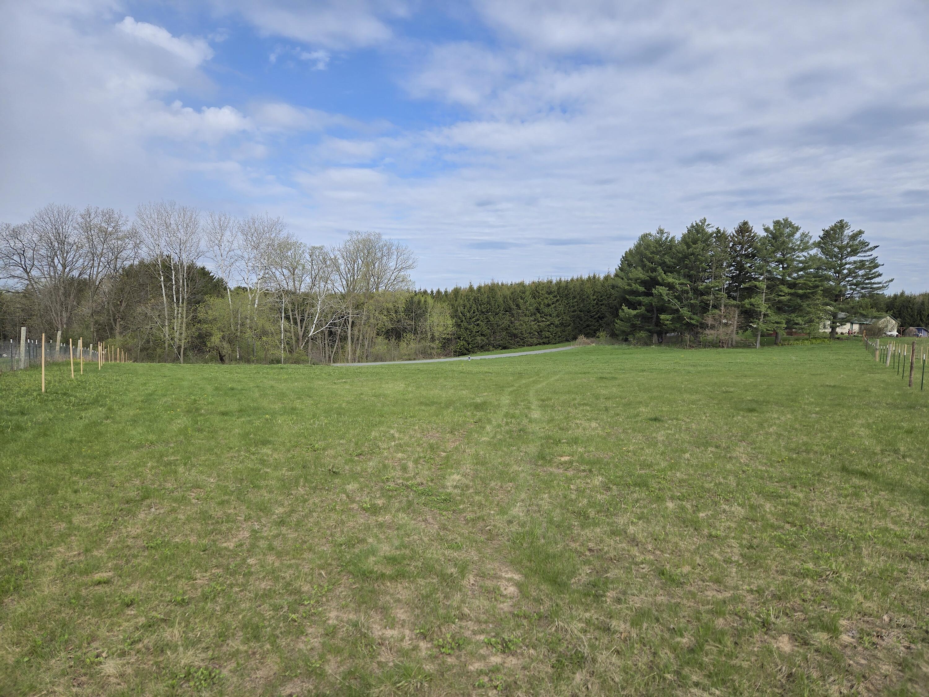 00 Nessett Coon WI 54667 1962715 image2