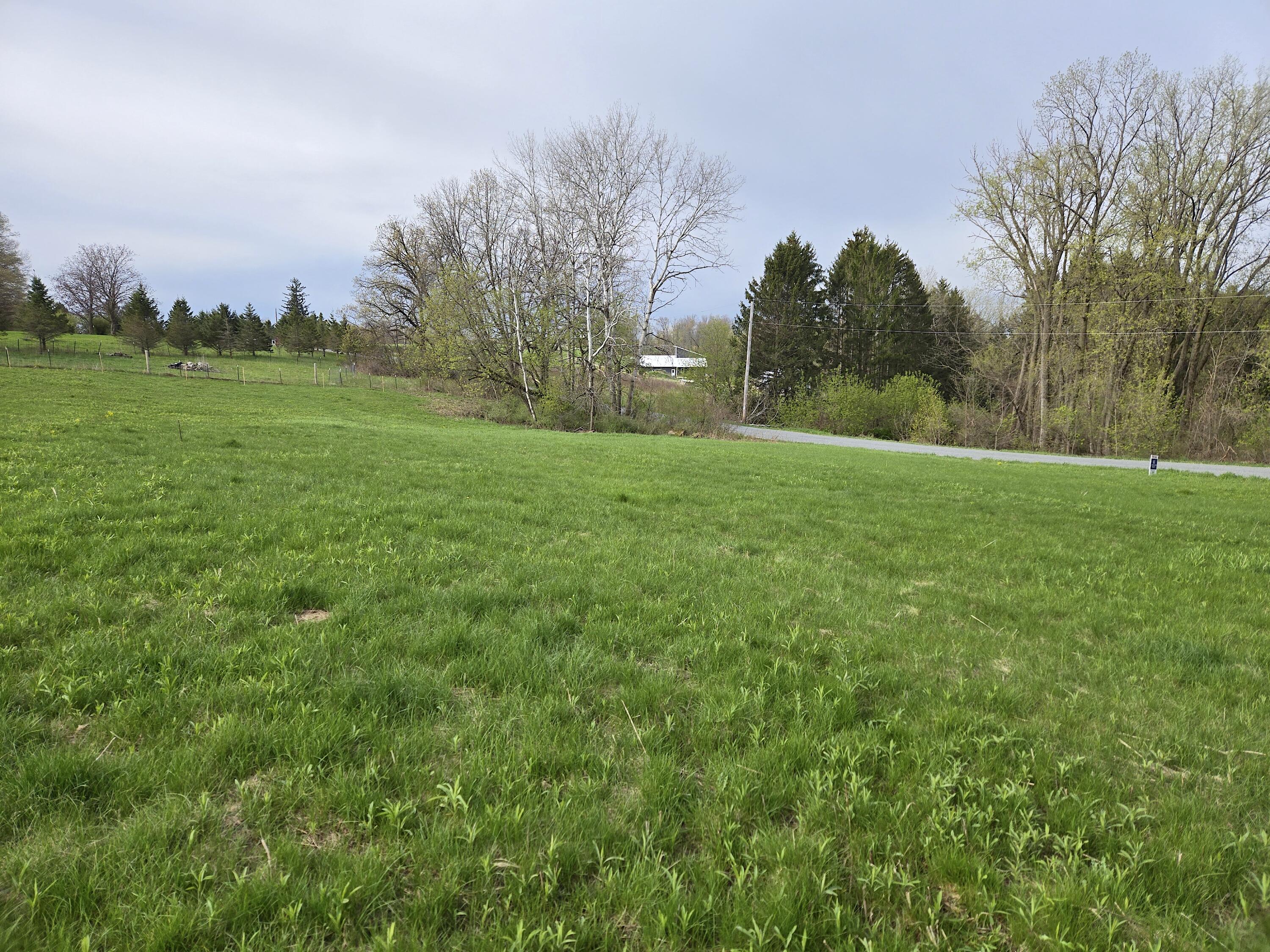 00 Nessett Coon WI 54667 1962715 image3