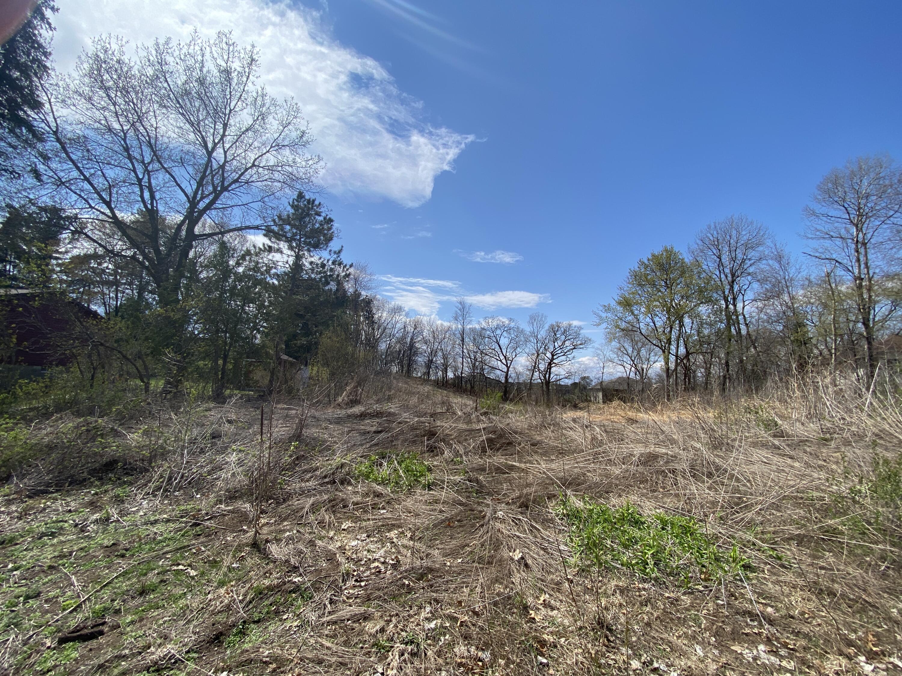 00 Pine Holmen WI 54636 1831044 image1