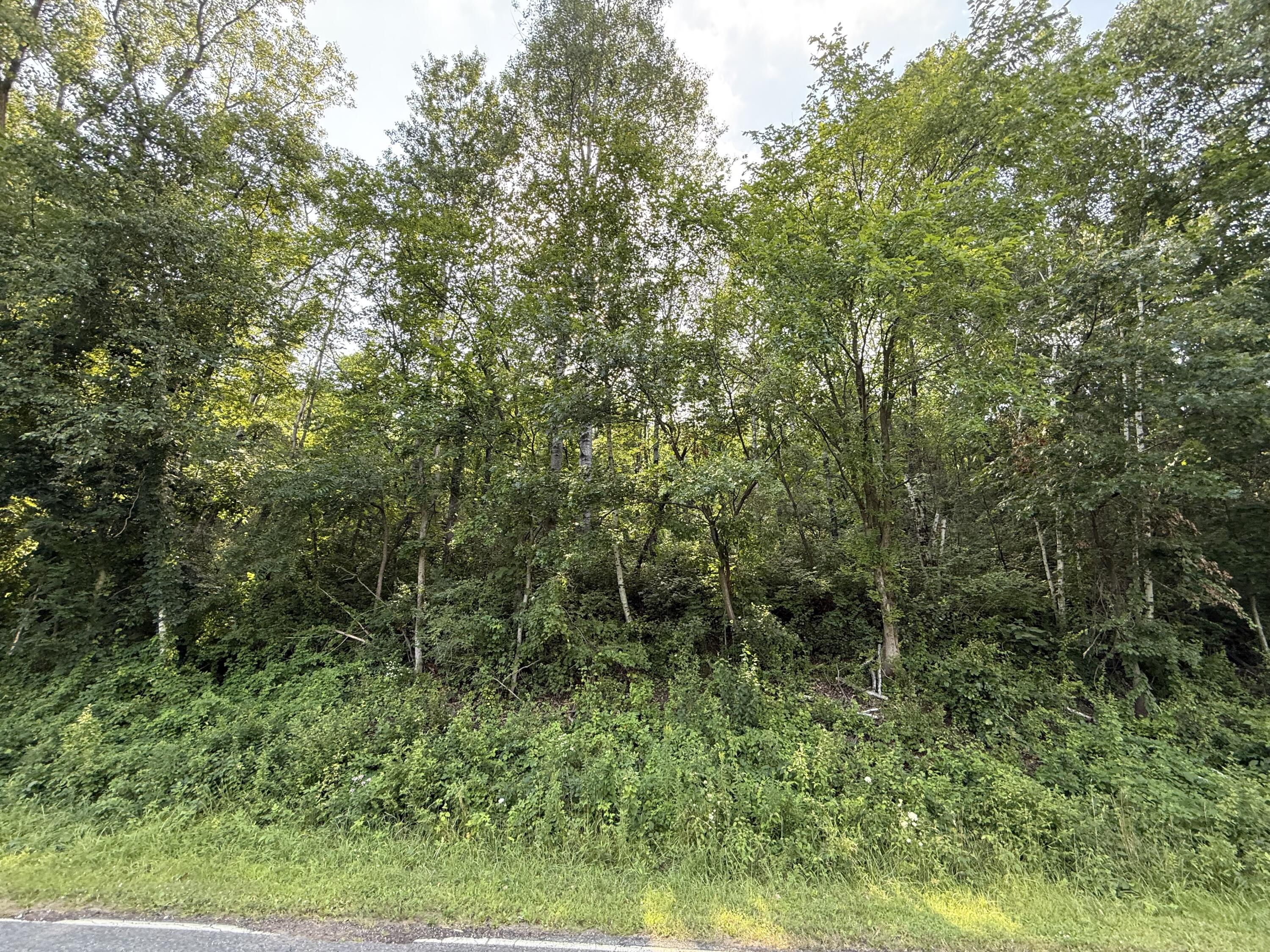 00 Smith Valley Medary WI 54601 1930271 image2