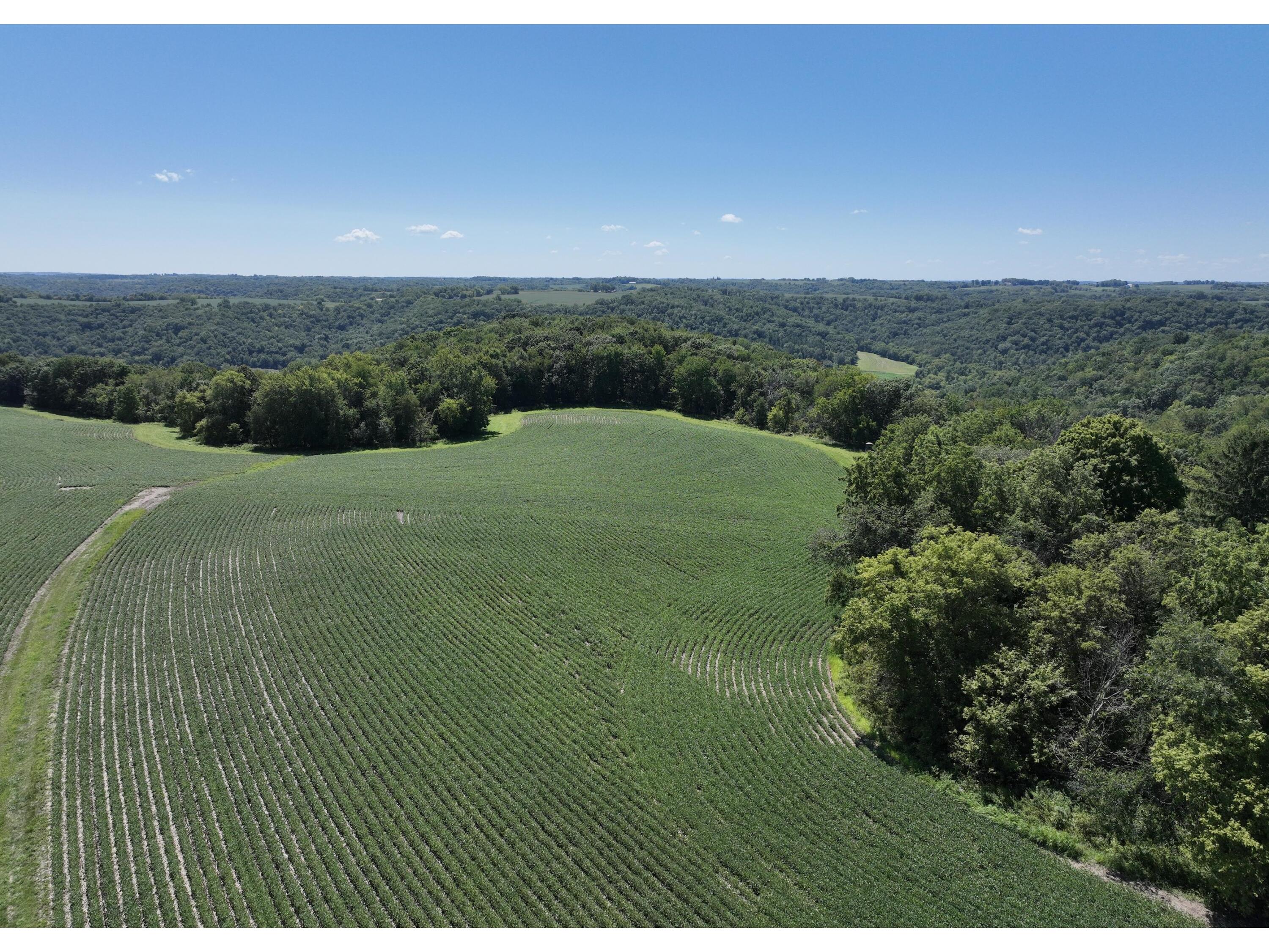 000 50th Maiden Rock WI 54761 1847279 image1