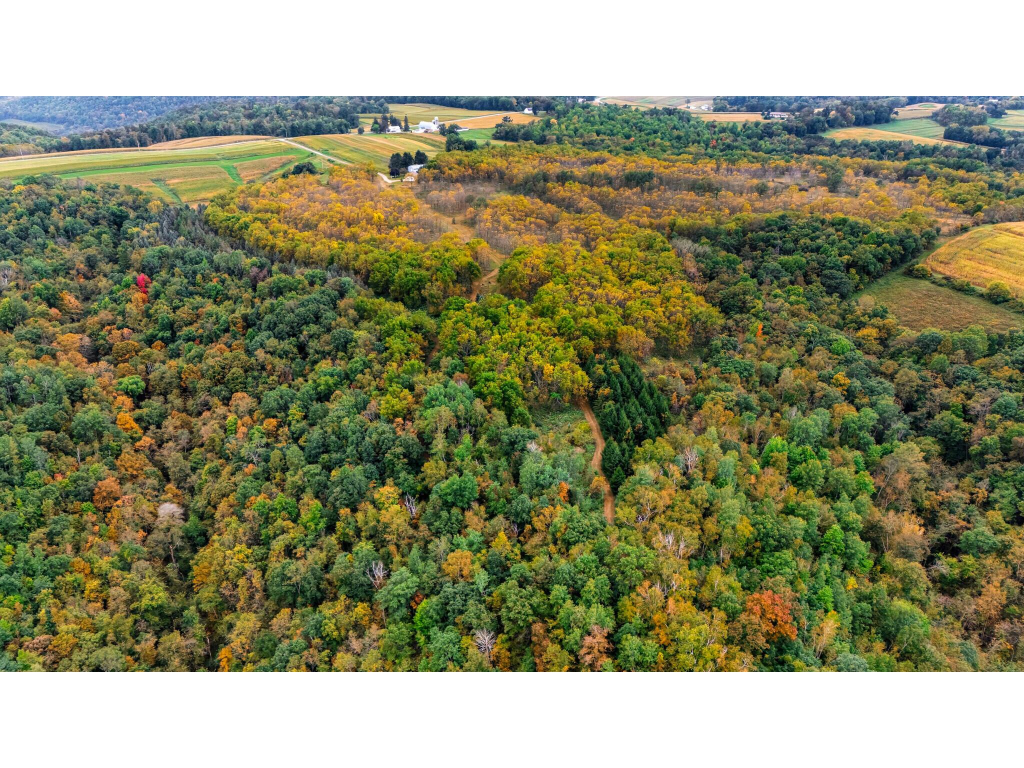 000 Betz Greenfield WI 54623 1935891 image1