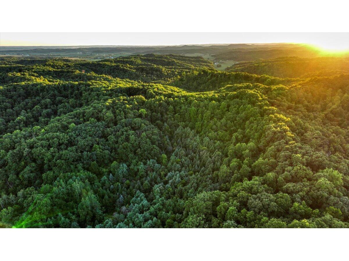 000 COUNTY HIGHWAY Q Lafayette WI 54656 1848782 image1