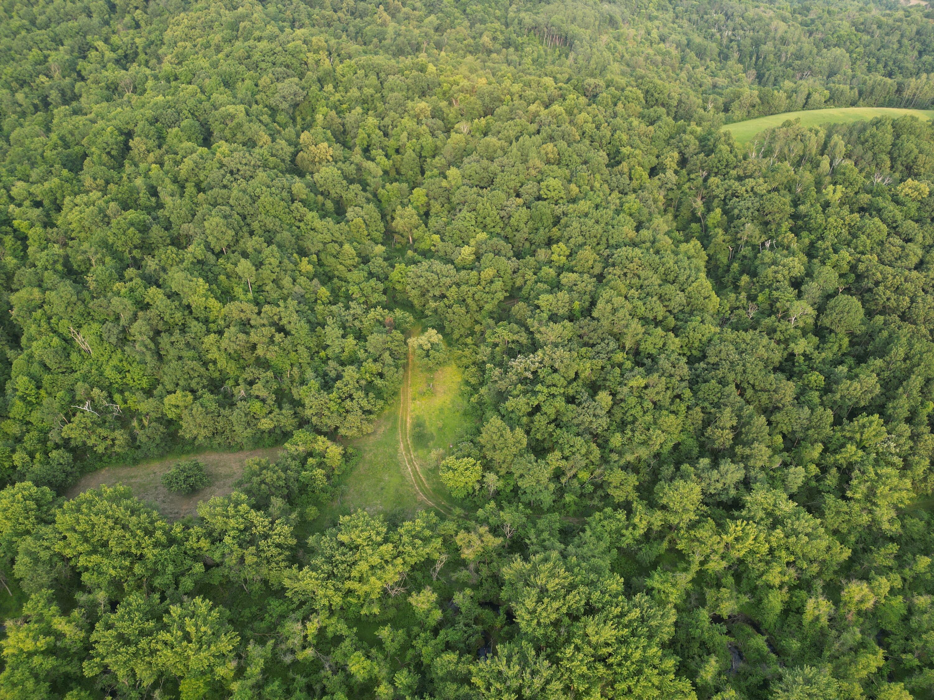 000 County Road M Hamilton WI 54669 1827967 image1