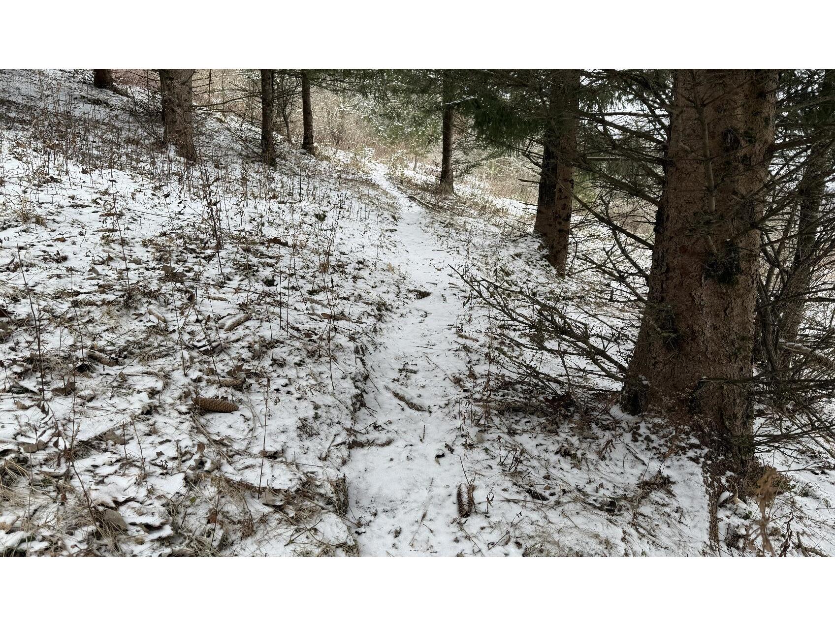 000 County Road NN Greenfield WI 54623 - Roesler Creek 1949884 image4